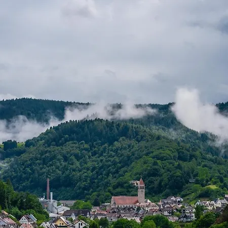 Appartement Schwarzwaldpanorama Schlossblick *
